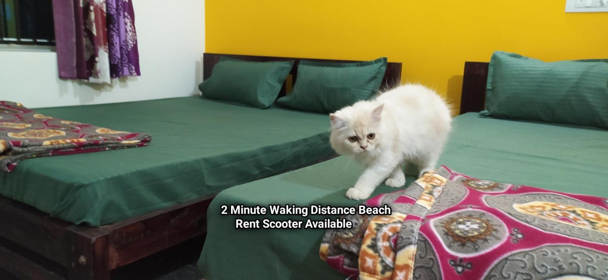Sarvesh Arundekar Home Stay In Beach Side Ac Room 고카르나 외부 사진